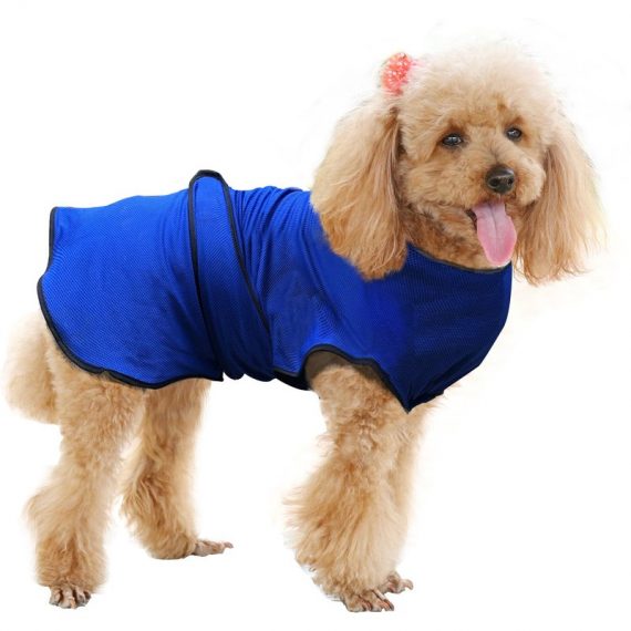 PawHut Manteau rafraîchissant pour chien manteau d'été taille M polyester bleu 3662970045756 D09-001V02