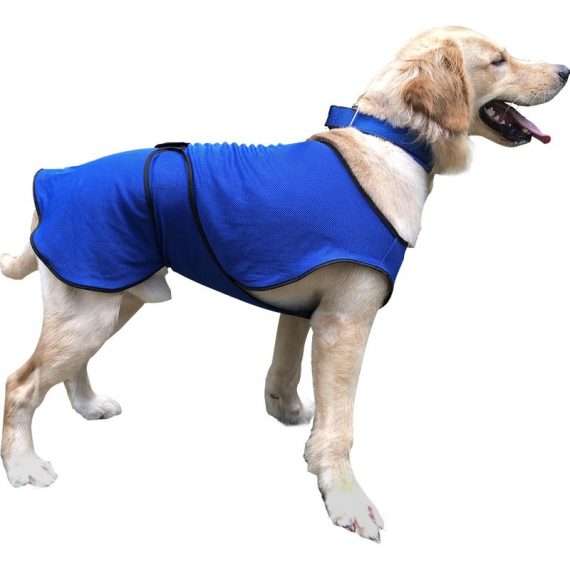 PawHut Manteau rafraîchissant pour chien manteau d'été taille L polyester bleu 3662970045763 D09-001V01